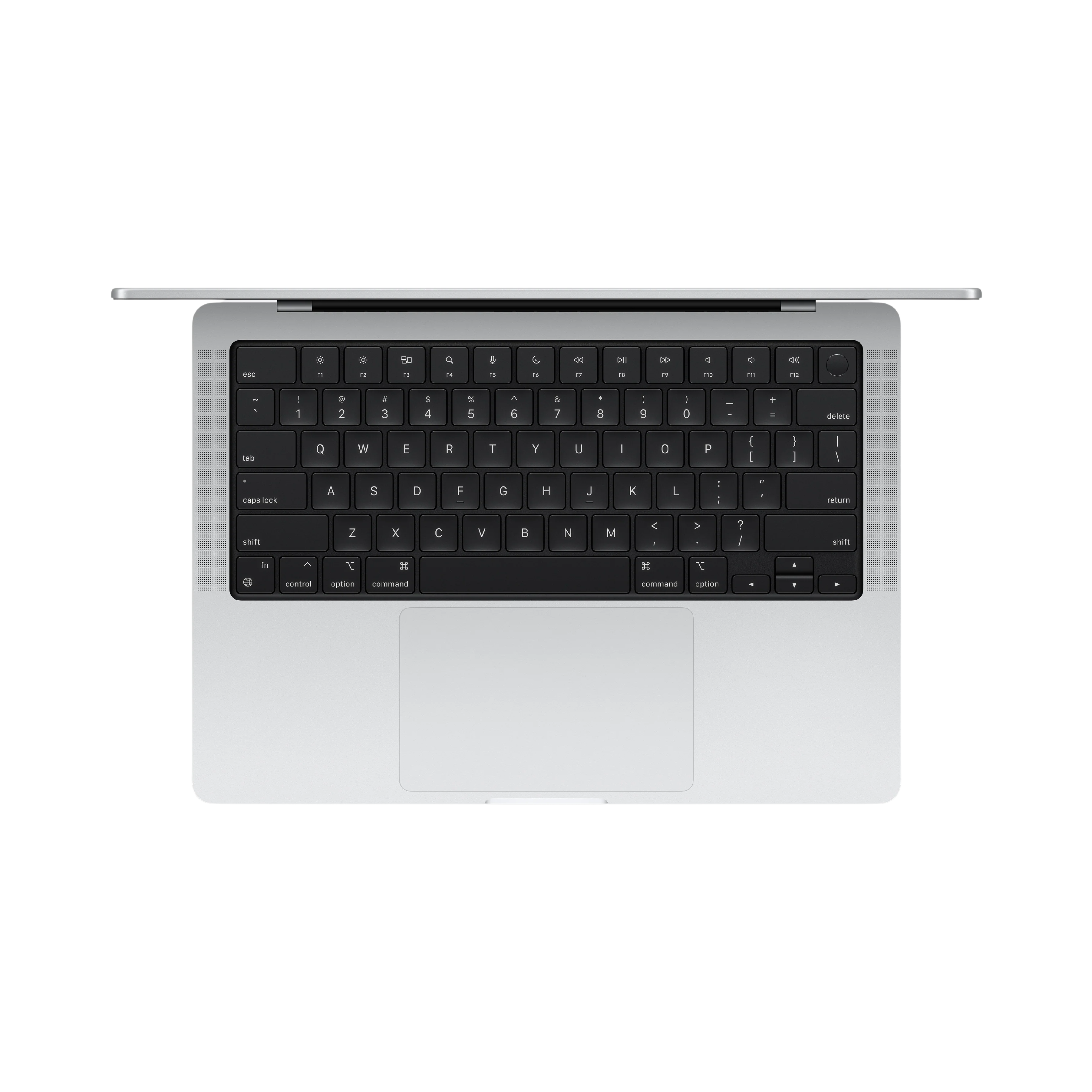 Miniatura 8