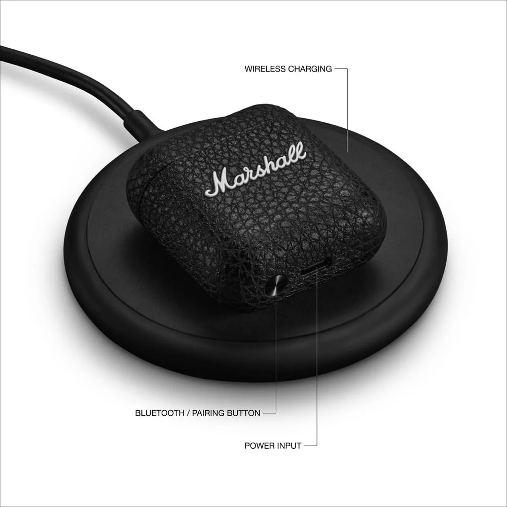 Miniatura 9