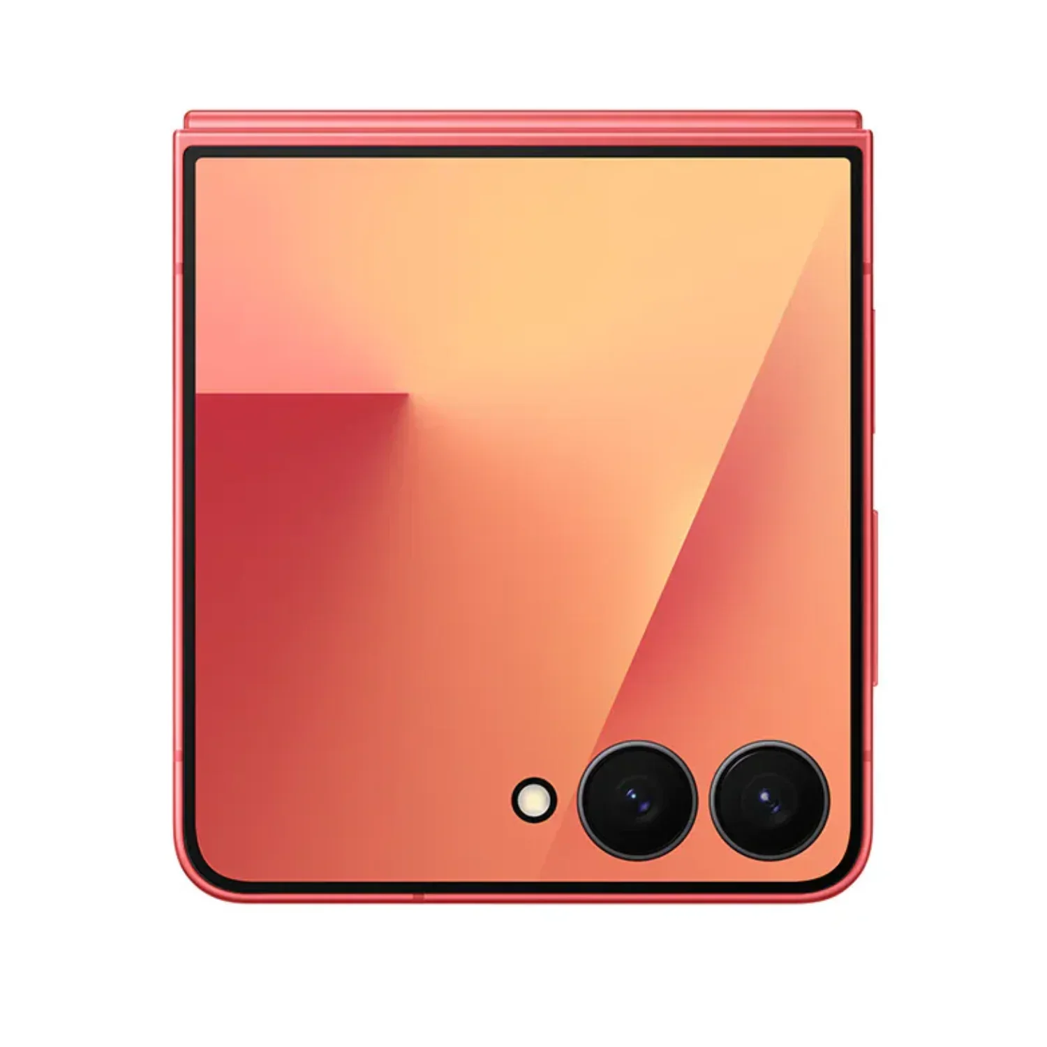 Miniatura 16