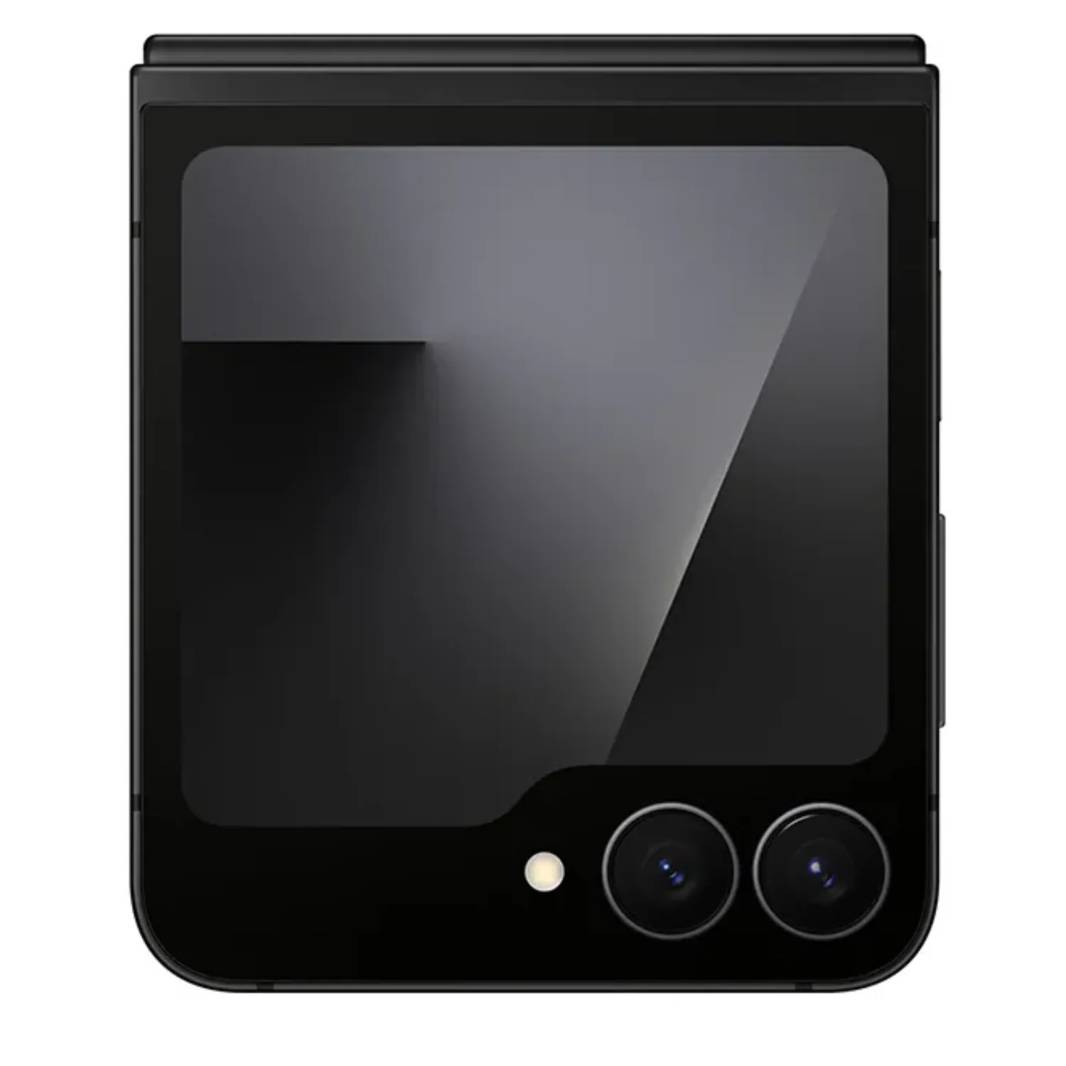 Miniatura 7